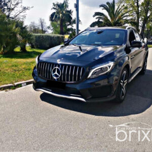 Griglia Panamericana GLA X156 - immagine 5