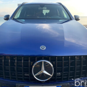 Griglia Panamericana GLC X253 - immagine 10