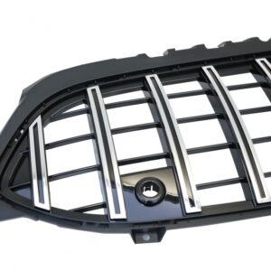 Griglia Panamericana Classe A W177 - immagine 4