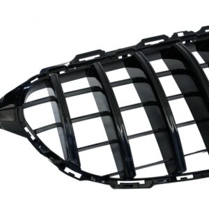 Griglia Panamericana Classe C W205 - immagine 10
