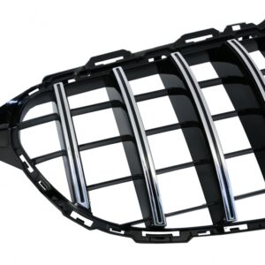 Griglia Panamericana Classe C W205 - immagine 13