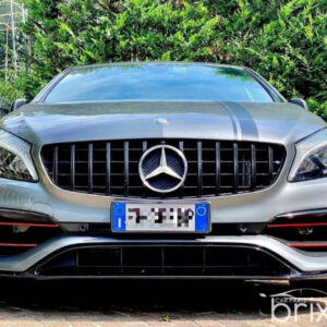 Griglia Panamericana Classe A W176 - immagine 5
