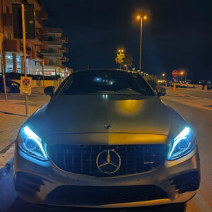 Griglia Panamericana Classe C W205 - immagine 5