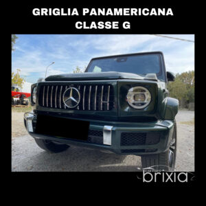Griglia Panamericana Classe G W463-W464 - immagine 4