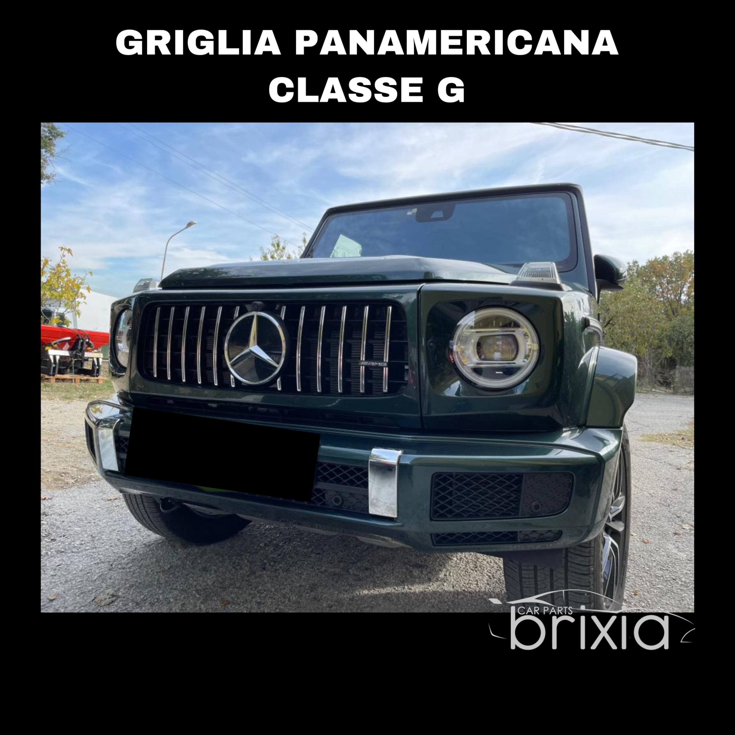 Griglia panamericana classe g w463