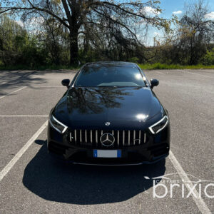 Griglia Panamericana CLS C257 - immagine 5